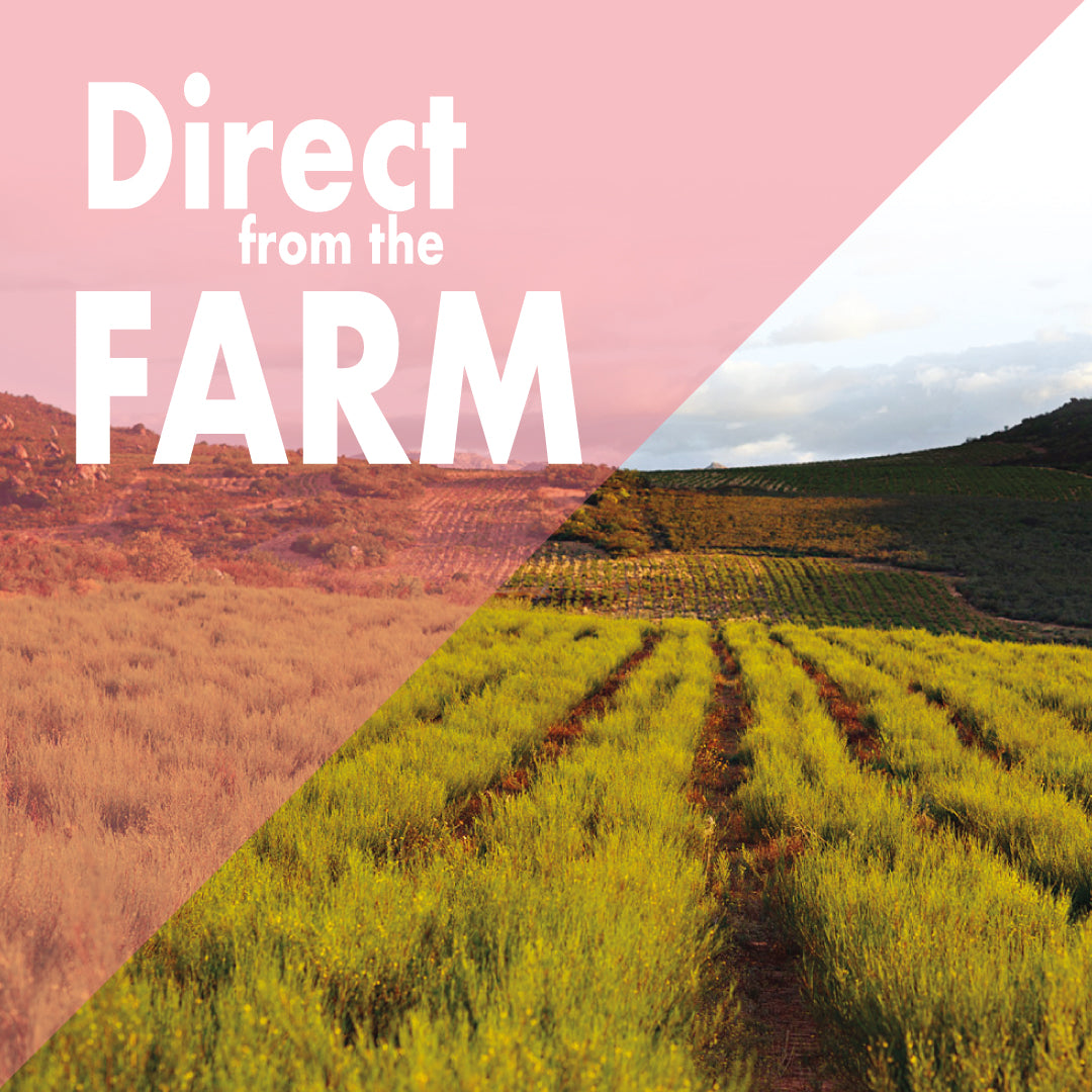 Carmien Mamma Nursing Tea (40 X Teabags)